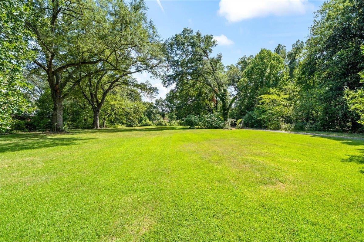 4143 Gwynne Road Memphis, TN 38117 - Photo 3 of 29 View of grassy yard featuring view of wooded area