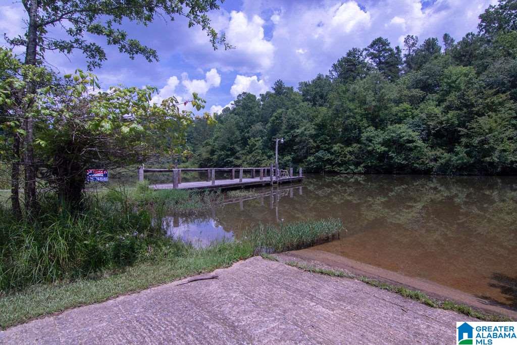 231 County Road 2012 Delta, AL 36258 - Photo 3 of 24
