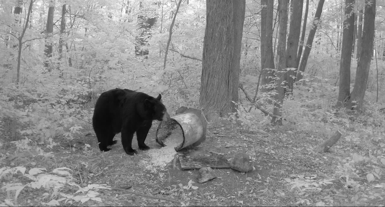 Ooo Snowshoe Road Wausau, WI 54403 - Photo 14 of 48