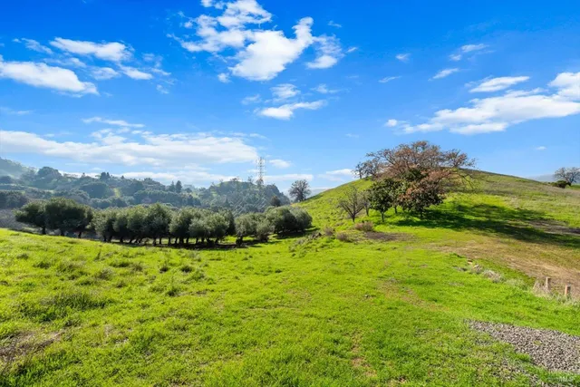 a view of a garden with a building in the background