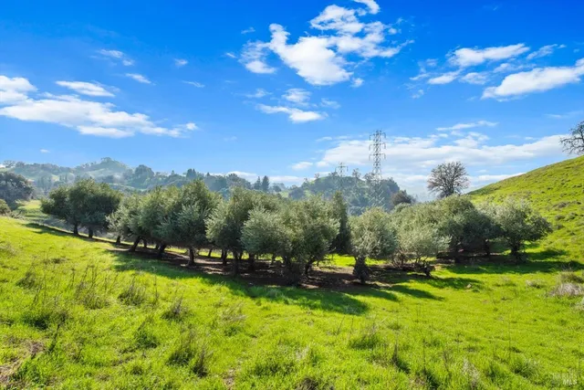 a view of a city with lush green forest