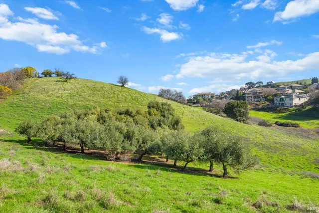 a view of yard with green space