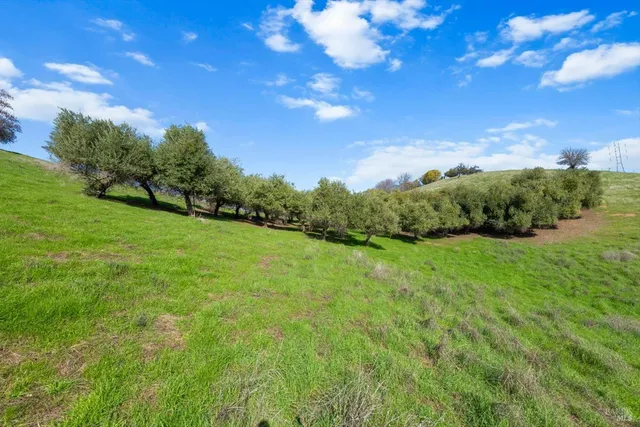 a view of a big yard with lots of green space