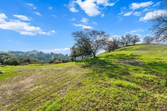 a view of yard with green space