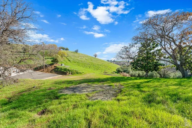 a view of a field with a tree in the background