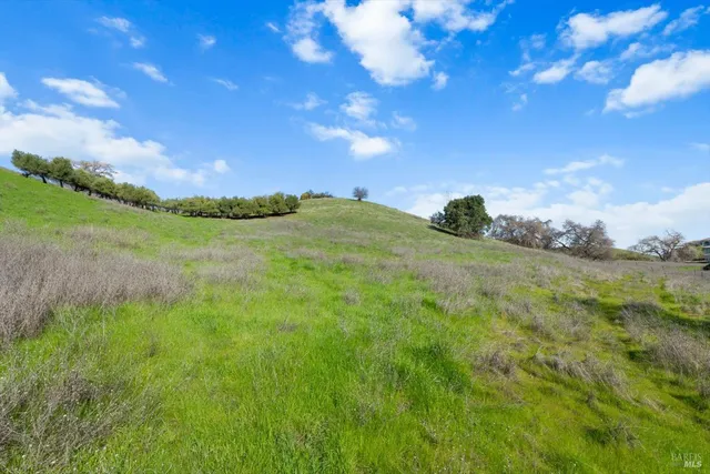 a view of a green field