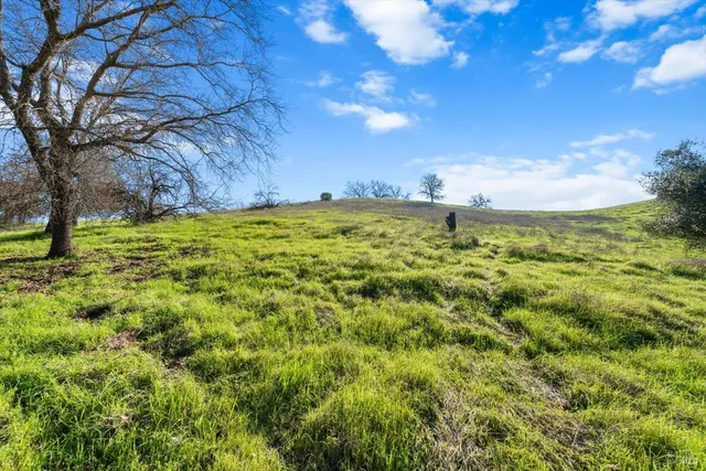 a view of a large yard with lots of green space