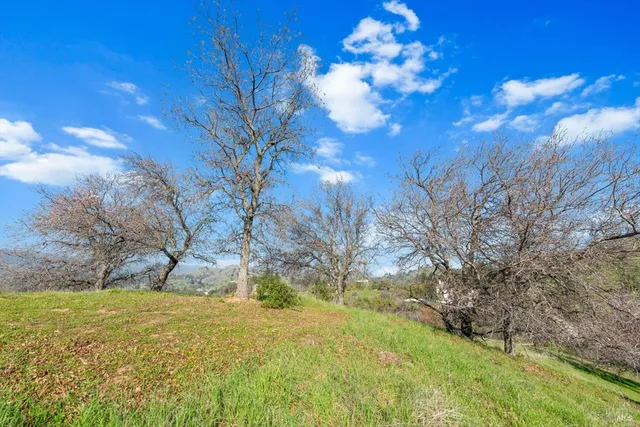 a view of a big yard with lots of green space