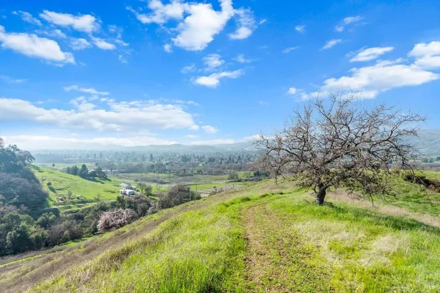 a view of a city with lush green forest
