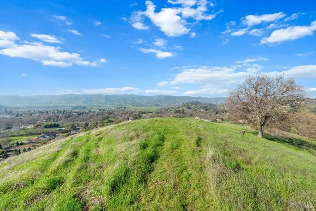 a view of a lush green outdoor space with a swimming pool and mountains