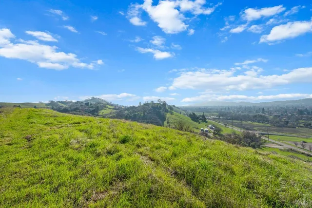 a view of a lush green forest with lots of trees