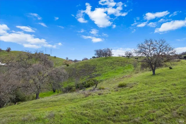a view of a lush green hillside and houses