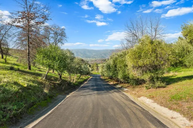 a view of a yard with potted plants and big trees