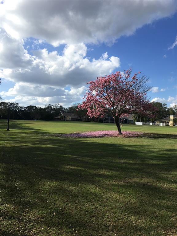 1652 Cherry Ridge Drive Lake Mary, FL 32746 - Photo 56 of 62 a view of a golf course