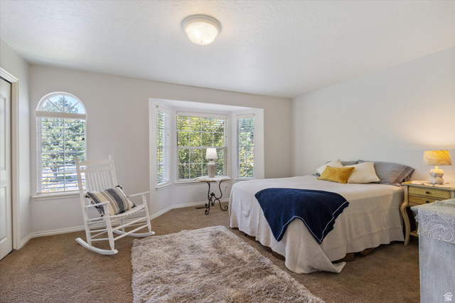 780 Hamlet Circle South Midway, UT 84049 - Photo 18 of 31