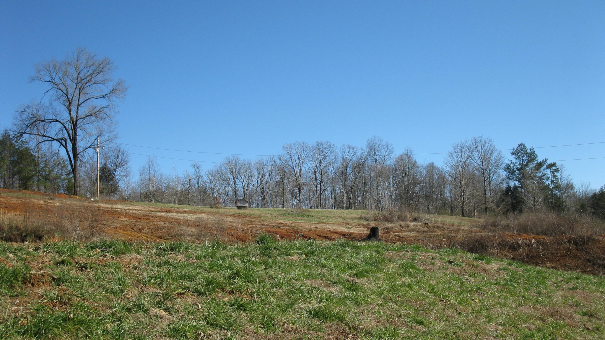 245255 County Road 755 Riceville, TN 37370 - Photo 4 of 18