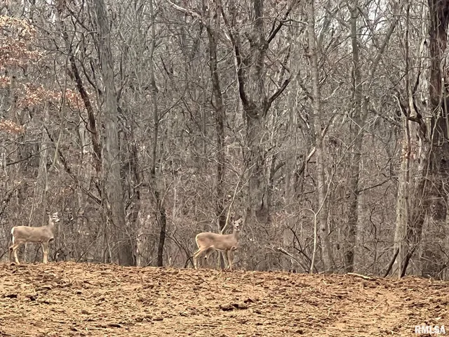 $42,000 | 50-52 Hideaway Estates Road, Petersburg, IL 62675