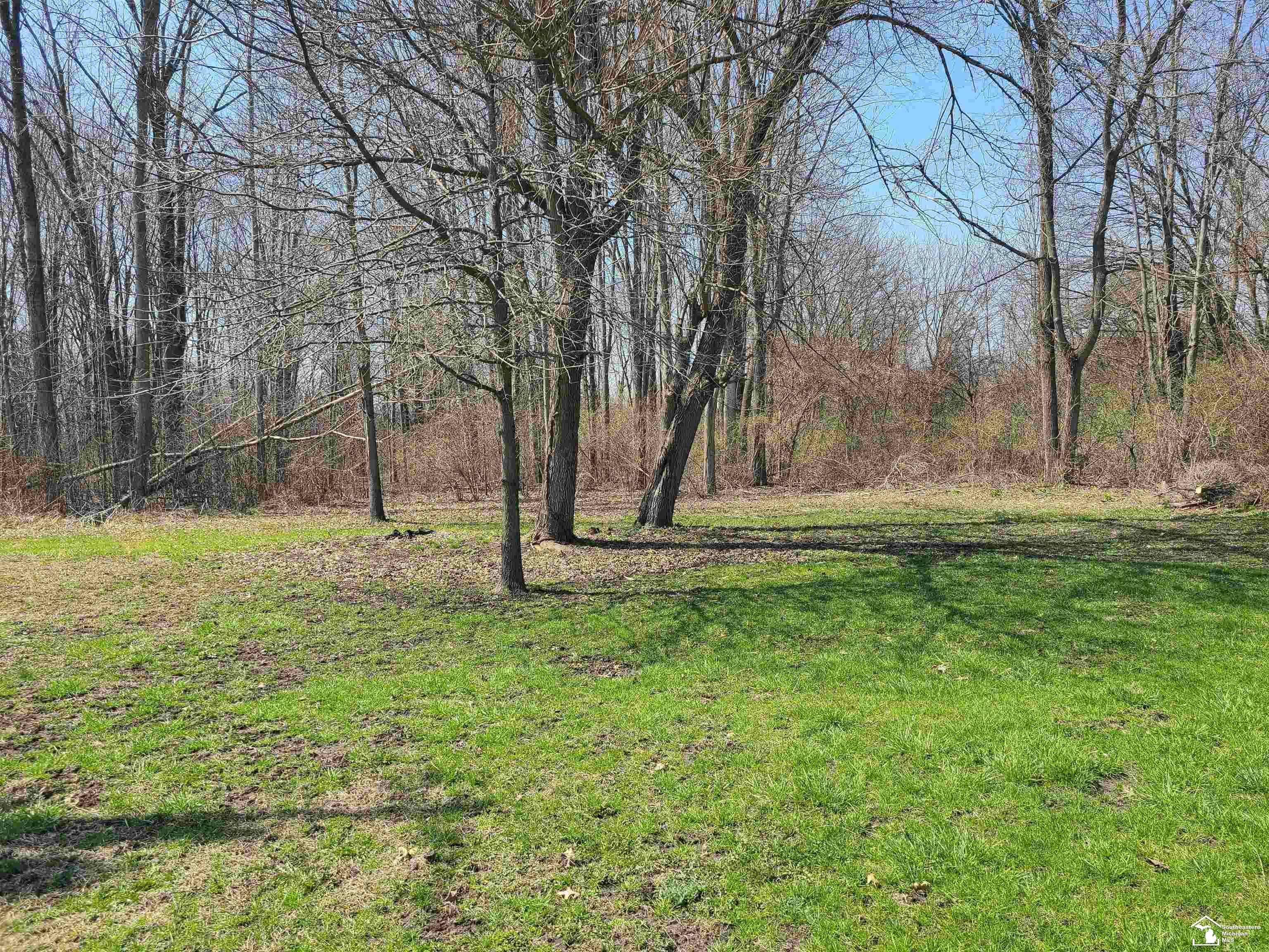 11581 Dixon Road Monroe, MI 48161 - Photo 14 of 41