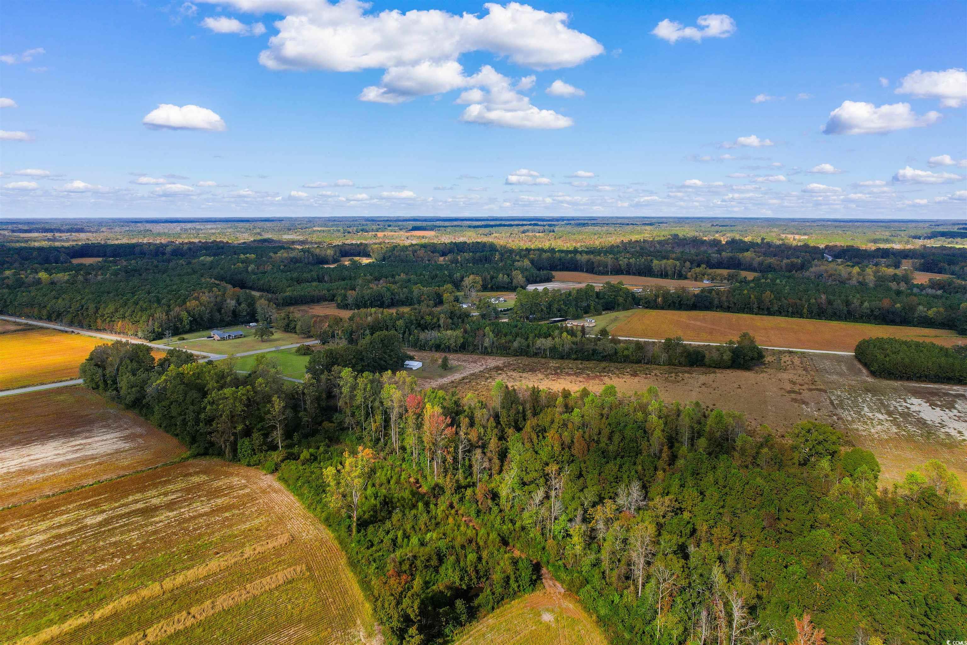 Tbd-lot 1 Oneal Road Loris, SC 29569 - Photo 8 of 17 Bird's eye view featuring a rural view