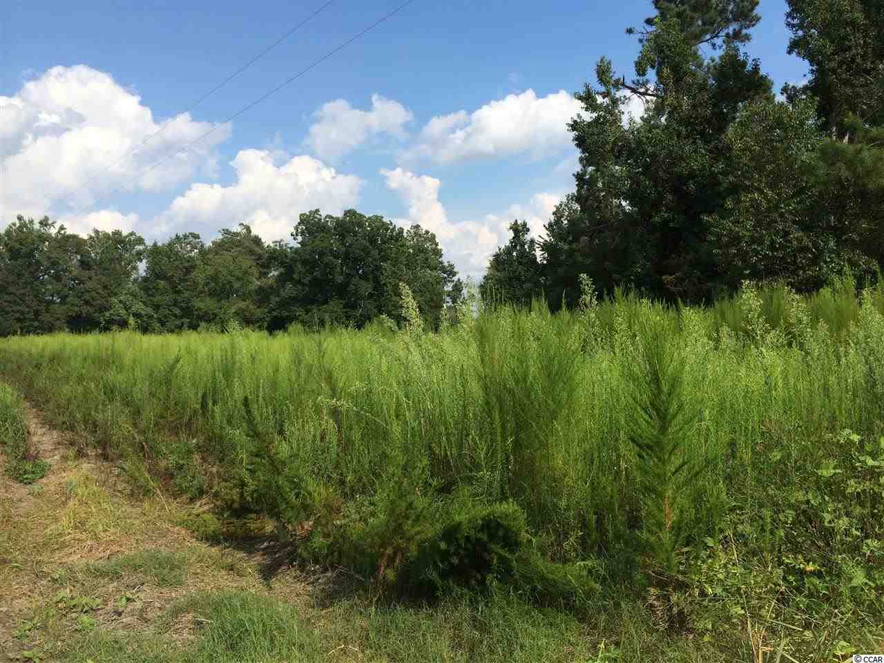 Tbd Tejas Road Galivants Ferry, SC 29544 - Photo 1 of 6 Gallery Image 1