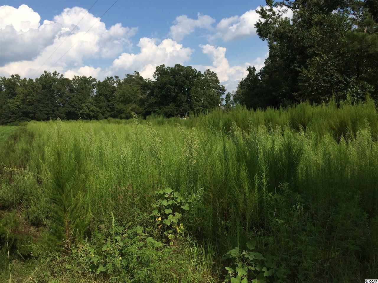 Tbd Tejas Road Galivants Ferry, SC 29544 - Photo 2 of 6 Gallery Image 2