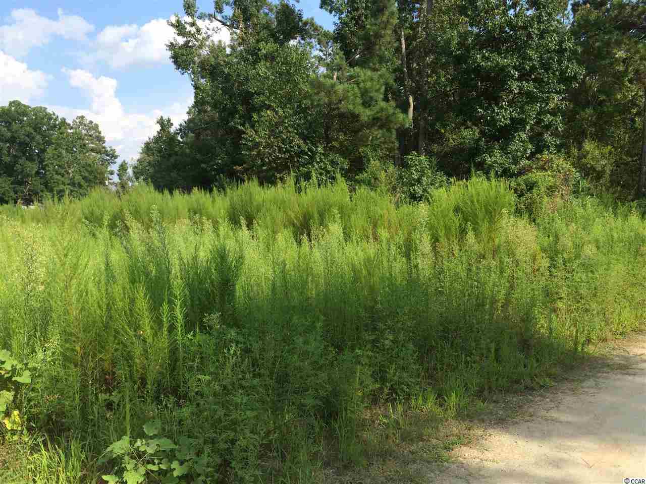 Tbd Tejas Road Galivants Ferry, SC 29544 - Photo 3 of 6 Gallery Image 3