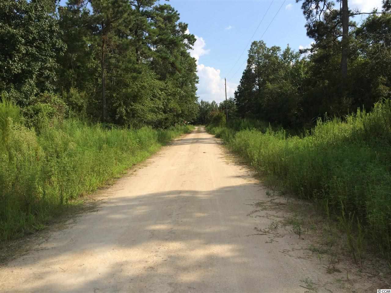 Tbd Tejas Road Galivants Ferry, SC 29544 - Photo 4 of 6 Gallery Image 4