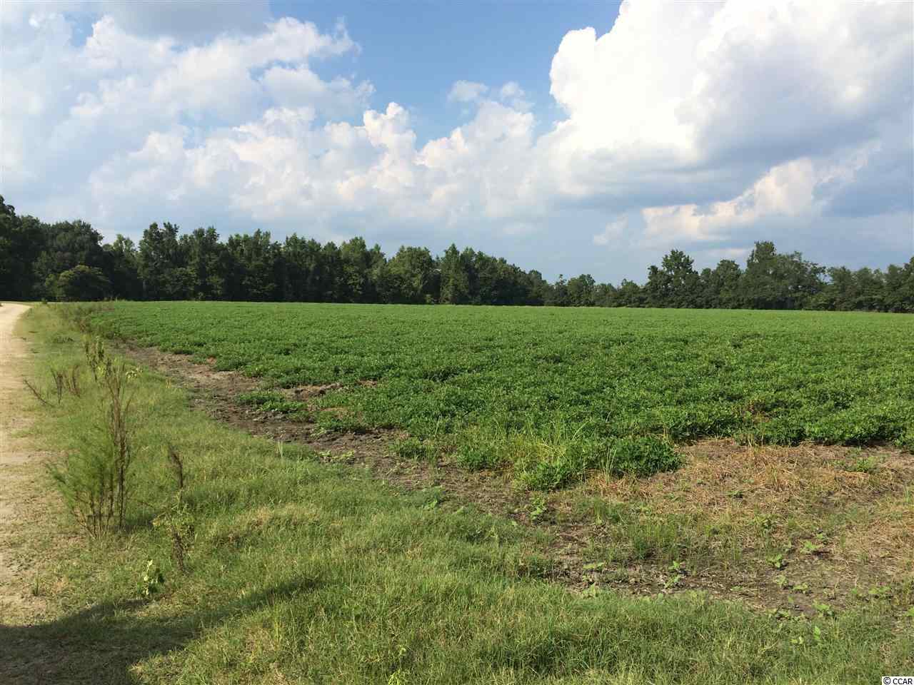Tbd Tejas Road Galivants Ferry, SC 29544 - Photo 5 of 6 Gallery Image 5