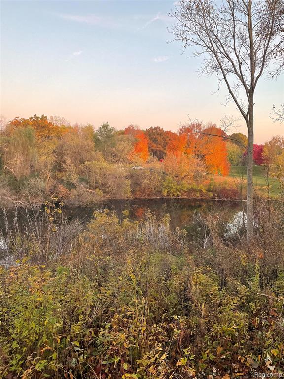 0 Markland Road Holly, MI 48442 - Photo 3 of 12