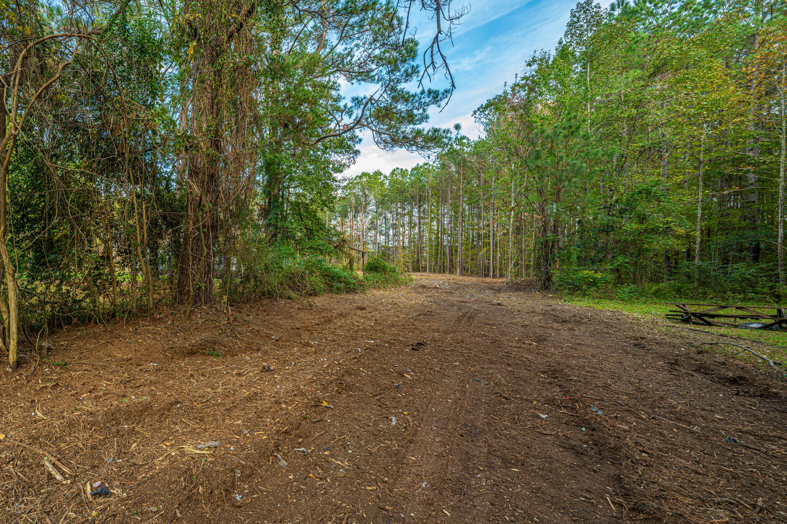 0 Newton Rd-tract B Summerville, SC 29483 - Photo 1 of 53 0NewtonRdREDO001