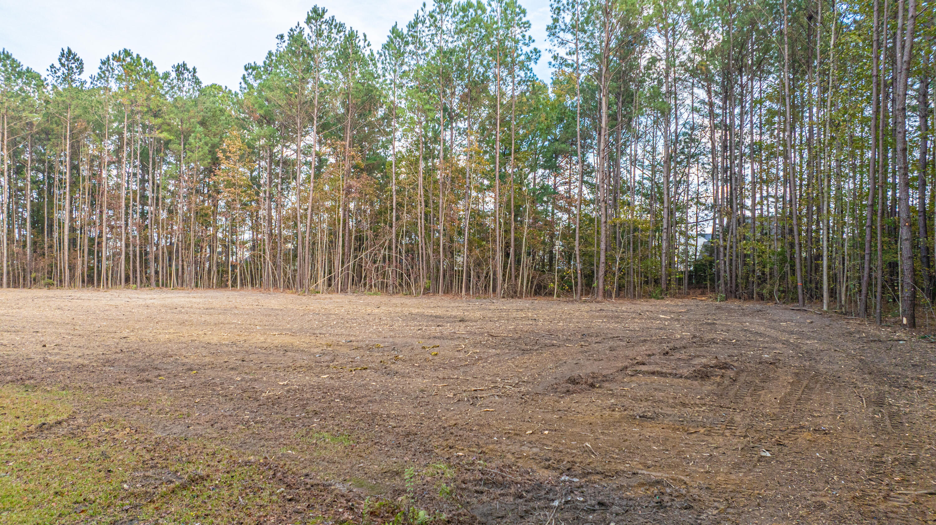 0 Newton Rd-tract B Summerville, SC 29483 - Photo 23 of 53 0NewtonRdREDO020