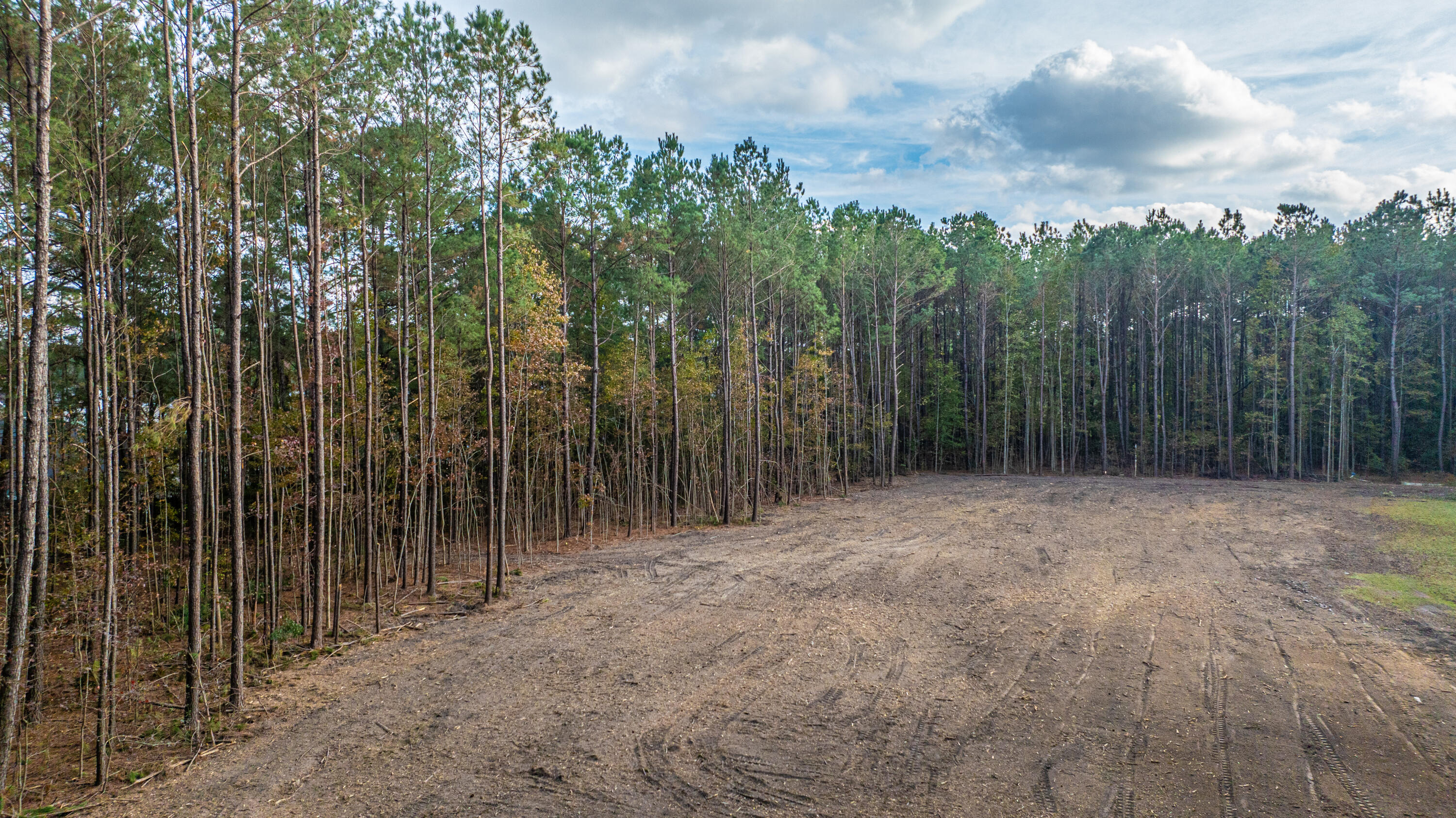 0 Newton Rd-tract B Summerville, SC 29483 - Photo 6 of 53 0NewtonRdREDO055