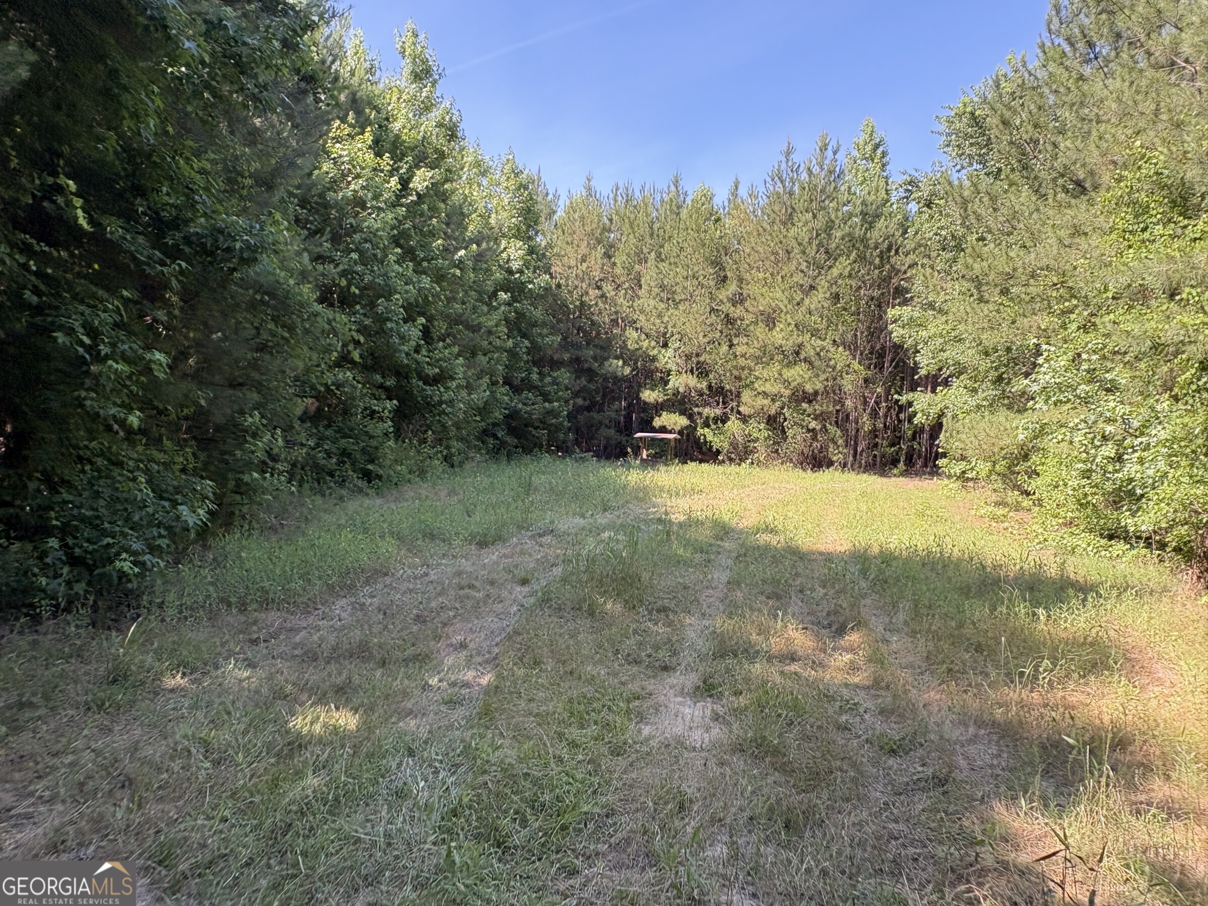 L9 North Indian Trail Road Sandersville, GA 31082 - Photo 4 of 19