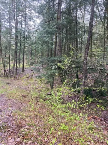 $73,000 | Rome-taberg Road Taberg Ny 13471, Taberg, NY 13471