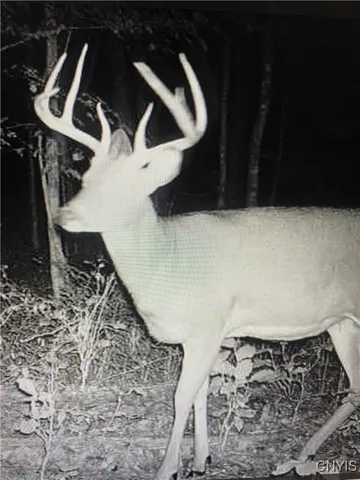 $73,000 | Rome-taberg Road Taberg Ny 13471, Taberg, NY 13471