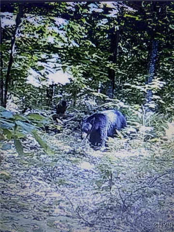 $73,000 | Rome-taberg Road Taberg Ny 13471, Taberg, NY 13471