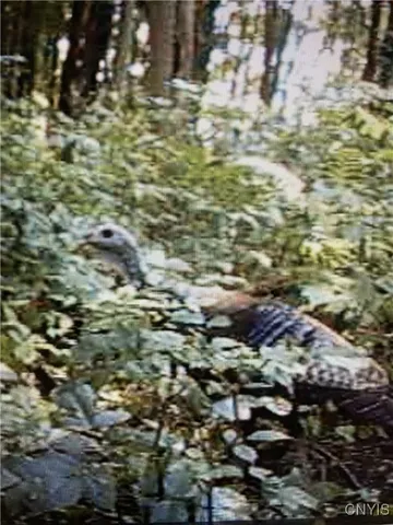 $73,000 | Rome-taberg Road Taberg Ny 13471, Taberg, NY 13471