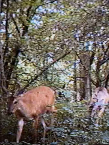 $73,000 | Rome-taberg Road Taberg Ny 13471, Taberg, NY 13471