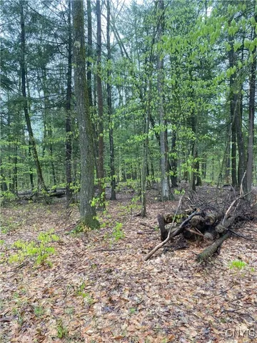 $73,000 | Rome-taberg Road Taberg Ny 13471, Taberg, NY 13471