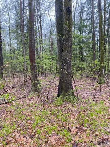 $73,000 | Rome-taberg Road Taberg Ny 13471, Taberg, NY 13471