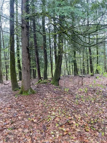 $73,000 | Rome-taberg Road Taberg Ny 13471, Taberg, NY 13471