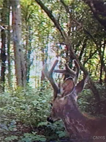 $73,000 | Rome-taberg Road Taberg Ny 13471, Taberg, NY 13471