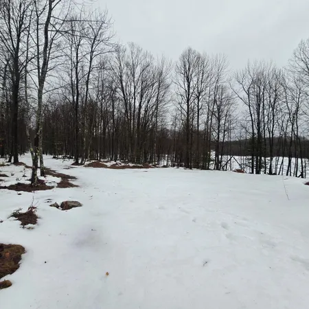 $199,900 | Westman Dam Road, Stephenson, MI 49887