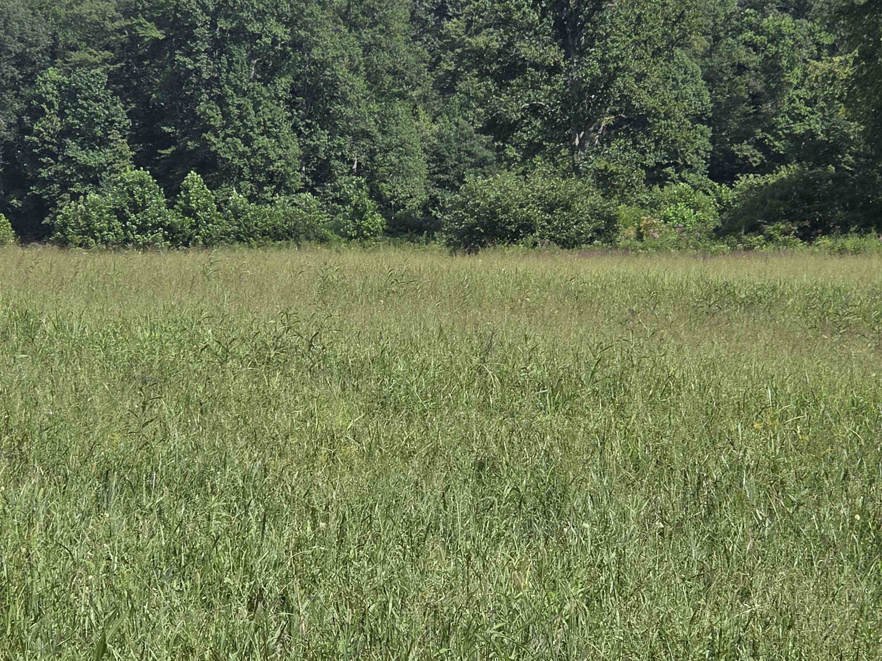 0 Tar Fork Road Vanceburg, KY 41179 - Photo 20 of 33 Gallery Image 20