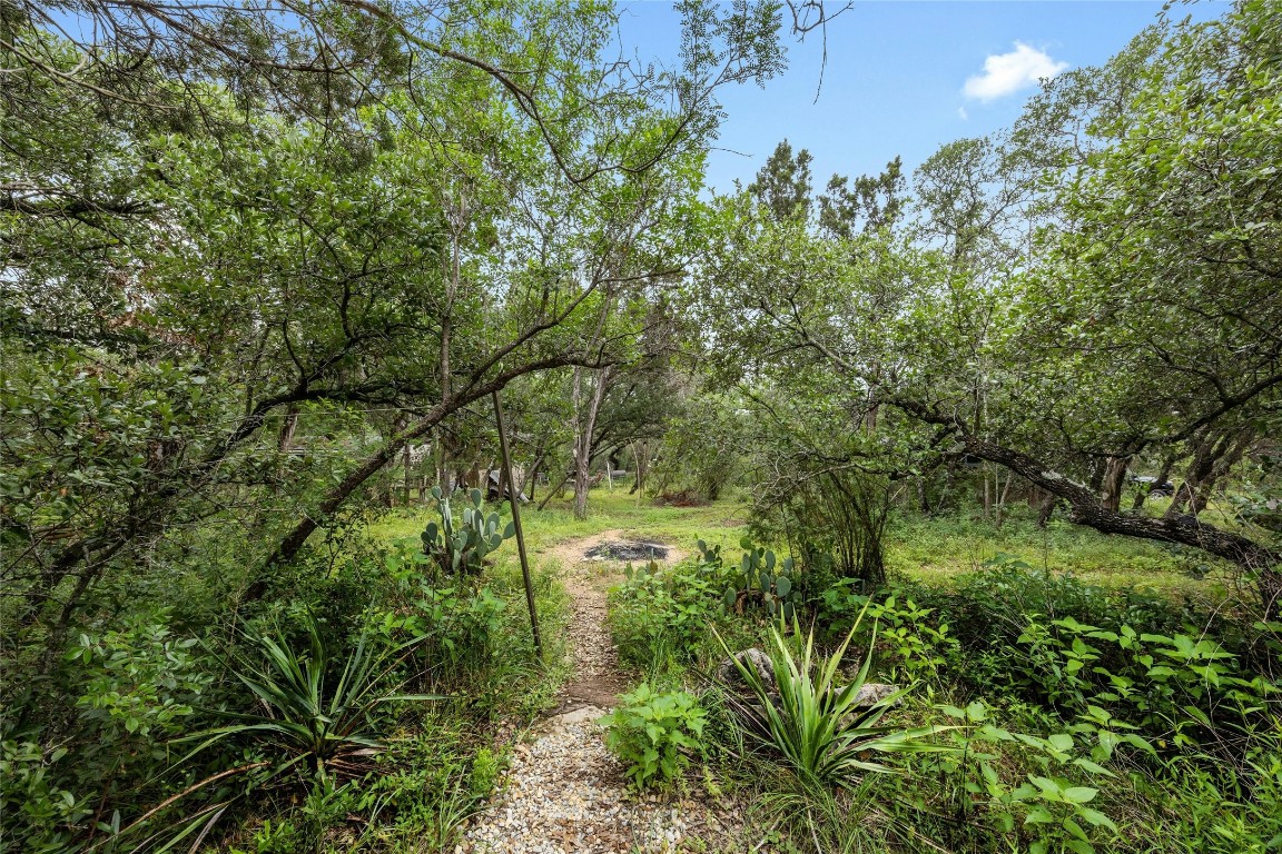 15207 Farm To Market Road 2769 Volente, TX 78641 - Photo 7 of 26 a view of a lush green forest