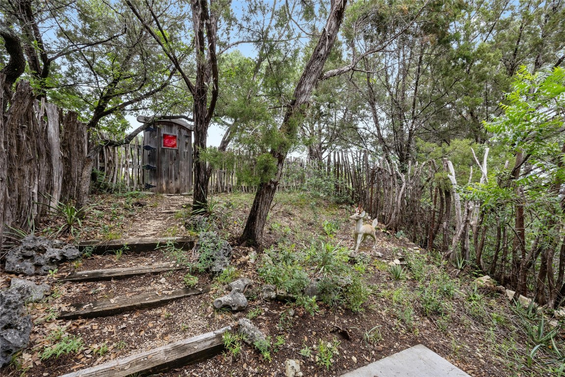 15207 Farm To Market Road 2769 Volente, TX 78641 - Photo 9 of 26 a backyard of a house with lots of green space