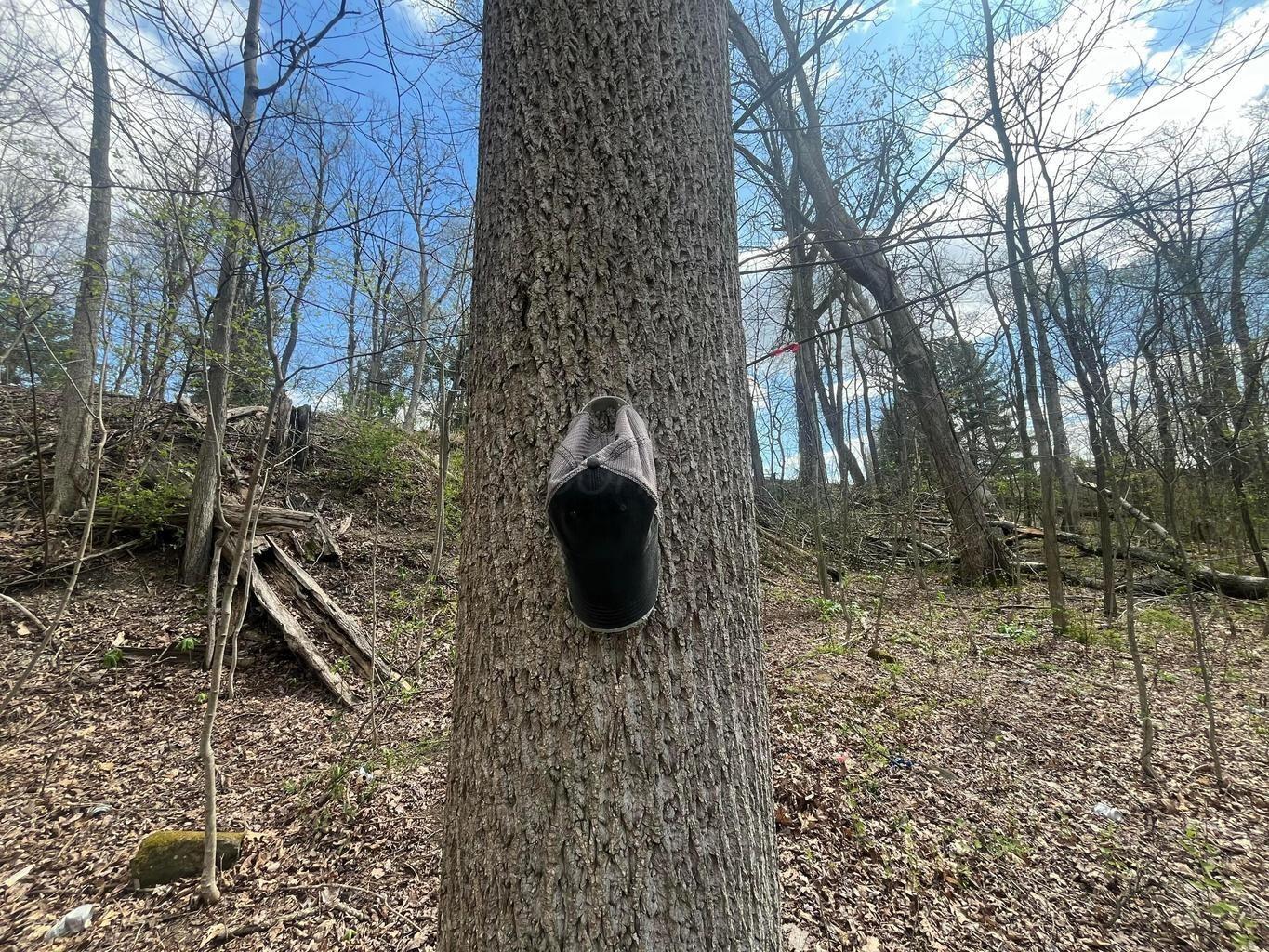 14040 Pinewood Trail Road Northeast Newark, OH 43055 - Photo 8 of 9 Tree Hat