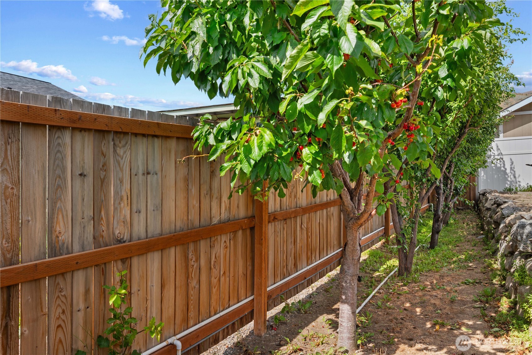 1010 Crest Loop Entiat, WA 98822 - Photo 11 of 35