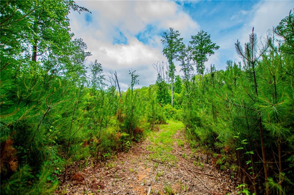 0 Lindsey Lake Road Dallas, GA 30157 - Photo 7 of 46