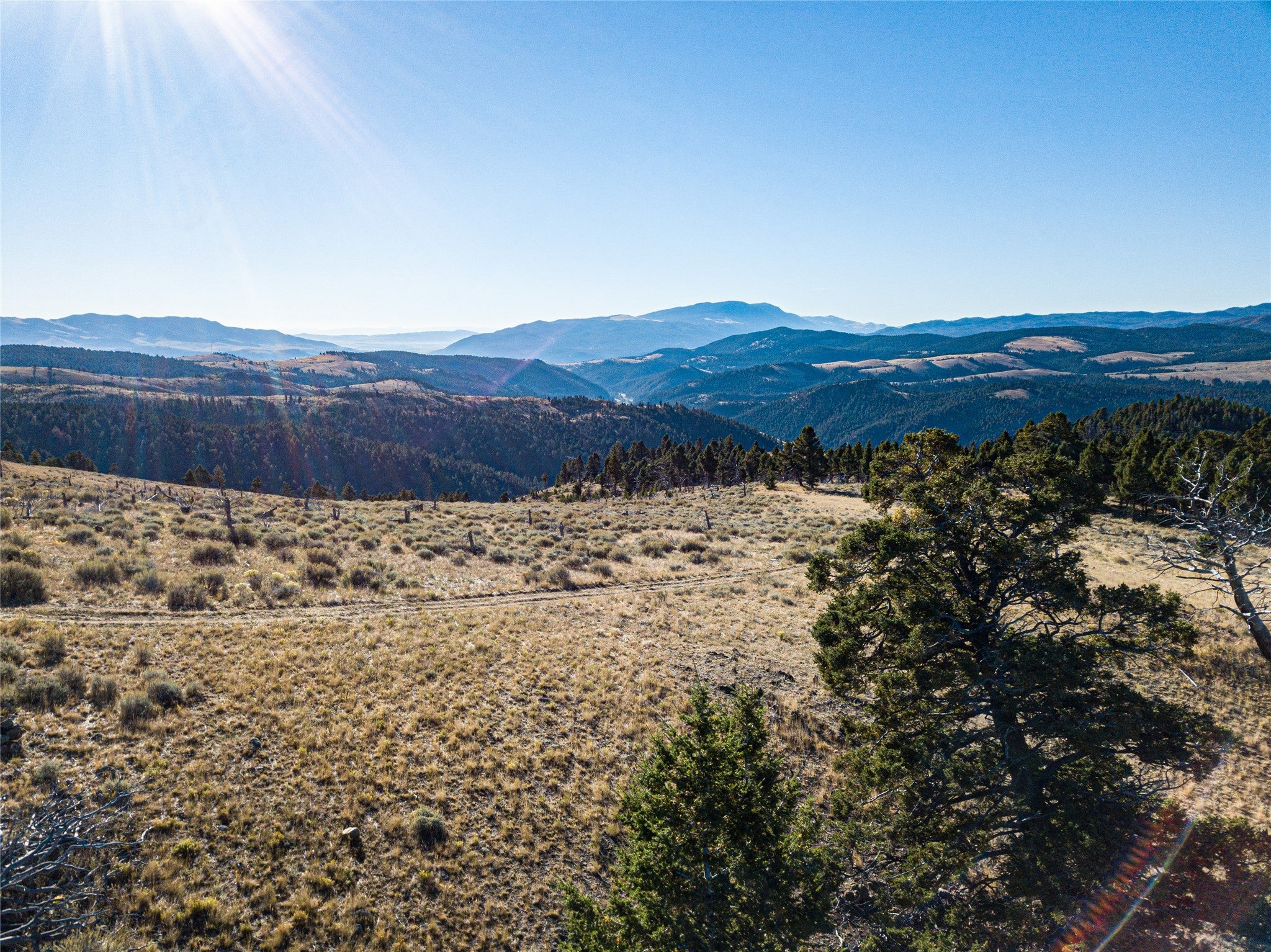 Tbd (40.1-ac) Tbd (40.1-ac) High Ore Road Boulder, MT 59632 - Photo 24 of 62 Gallery Image 24